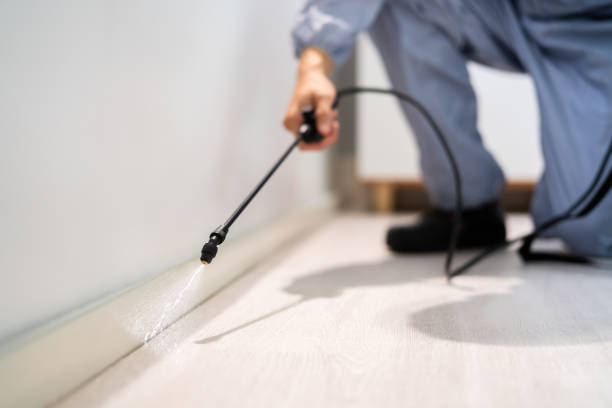 Licensed Pest Control service in Polk County County, WI - Nex Pest Control
