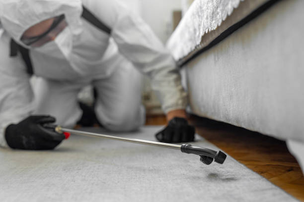 Professional Pest Control technician working in Polk County County, WI